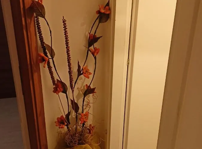 La Tana Della Volpe Guest house La Spezia